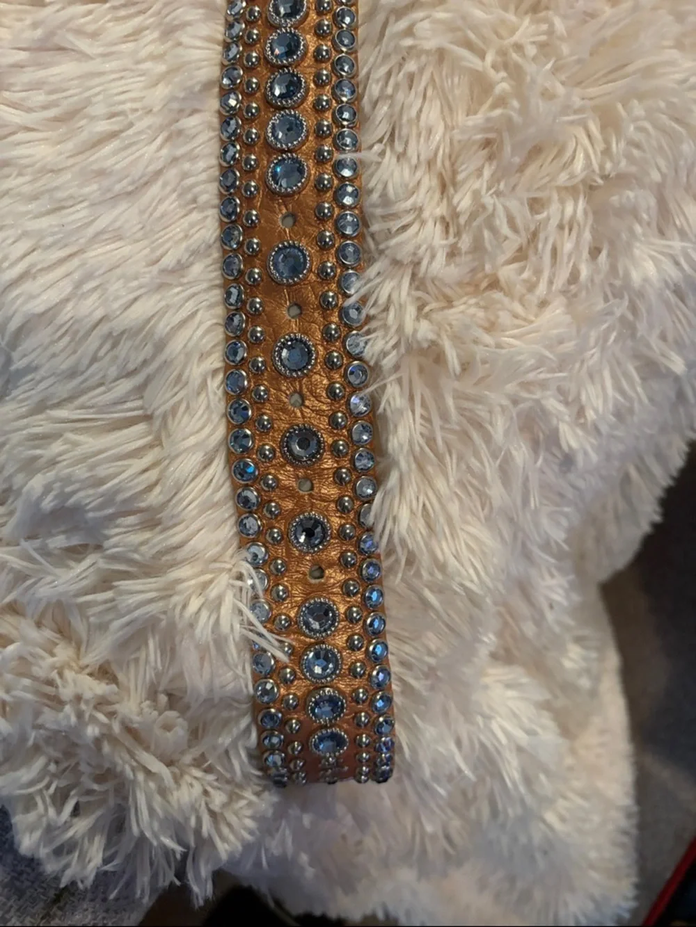 Kippy’s  bronze  metallic leather belt with light blue Swarovski crystals.